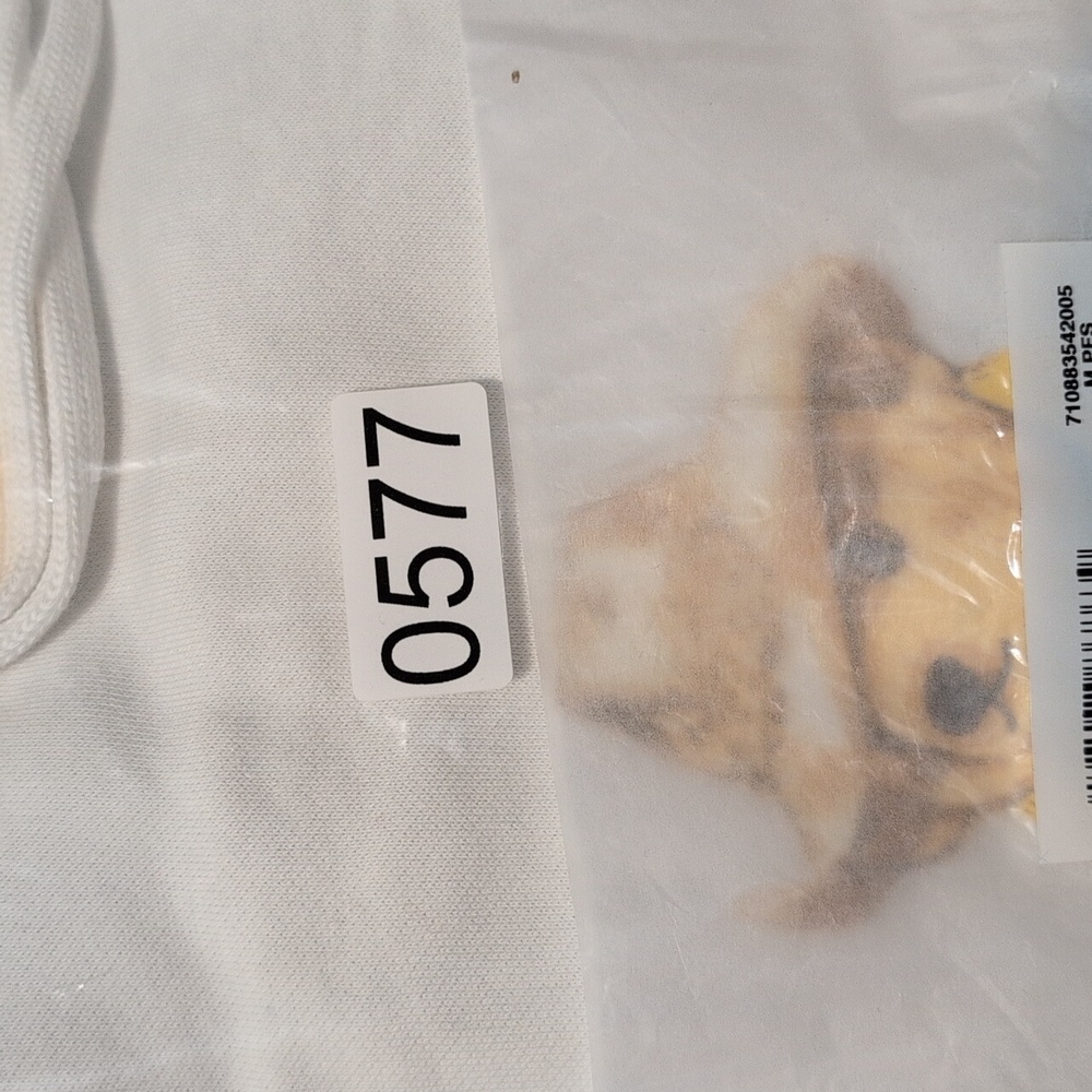 Polo by Ralph Lauren Men's Colorblock Bear Hoodie - Picture 12 of 13